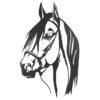 1 1 Square Horse Png Custom Resized.jpg