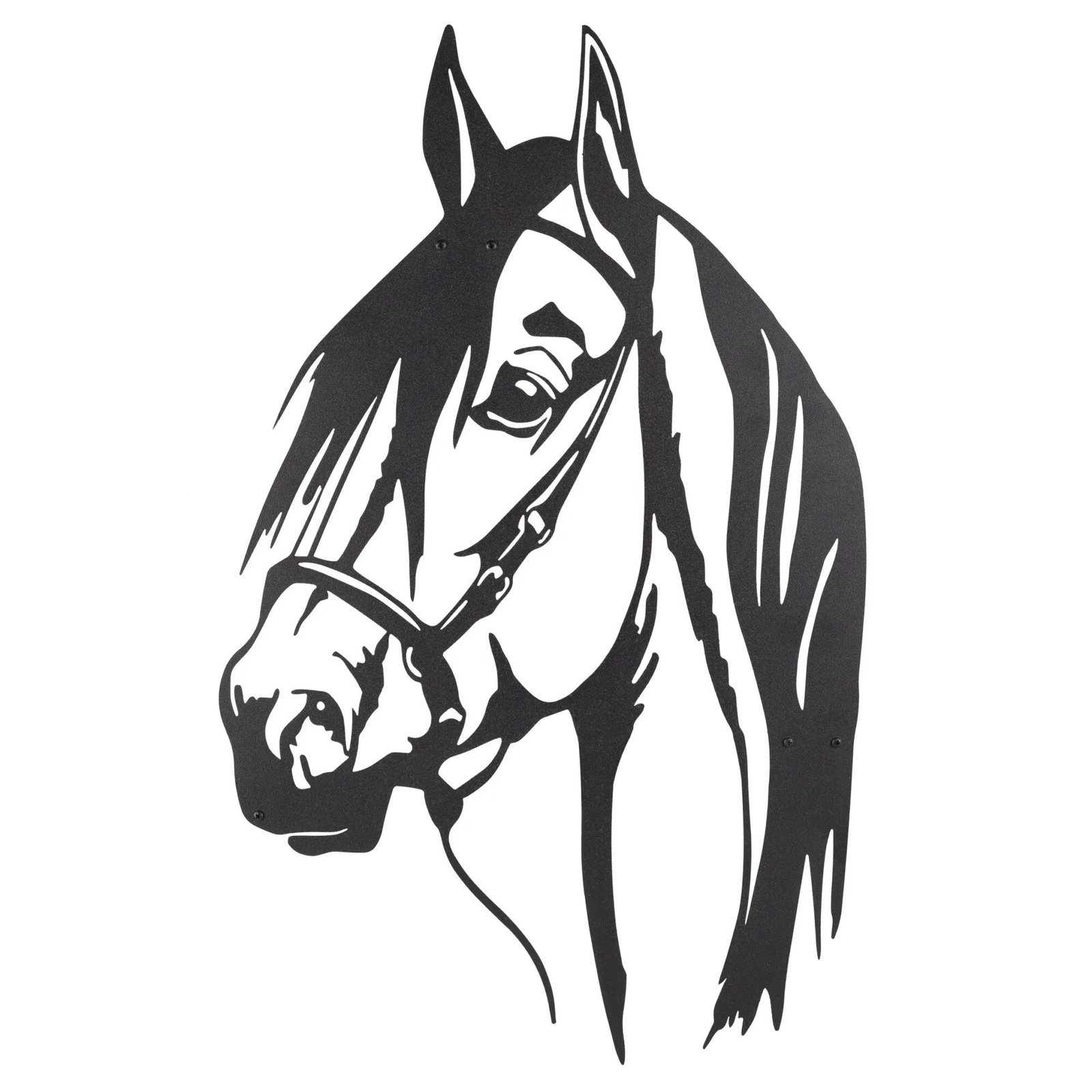 1 1 Square Horse Png Custom Resized.jpg