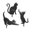 683a2689 Cats Copy 2.png