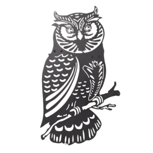 Owl B90c43fc B8a0 499d Bba8 073ee79b136c.png