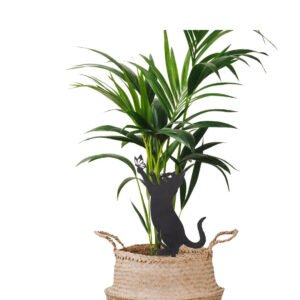 Untitled Design 8.jpg