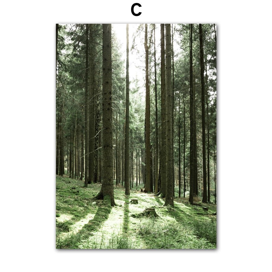 Affiche Jungle Forêt Illustrée Ambiance Tropicale Et Naturelle 6 Affiche Jungle Forêt Illustrée Ambiance Tropicale Et Naturelle
