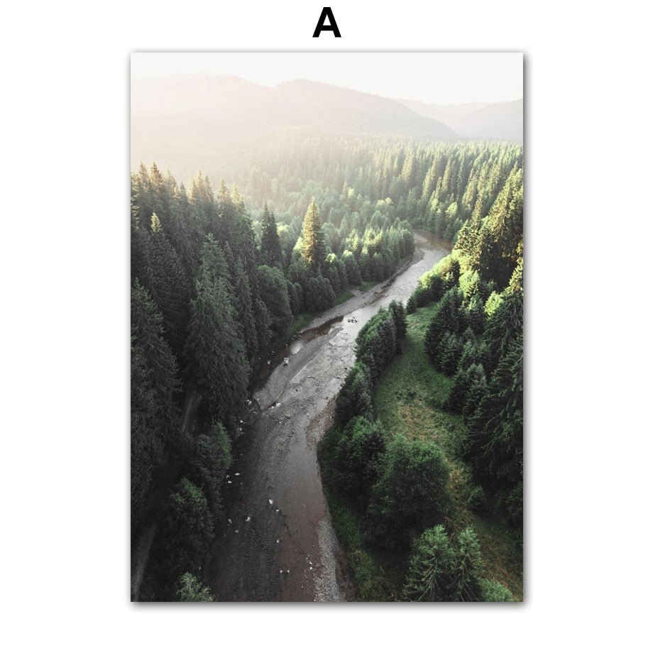 Affiche Jungle Forêt Illustrée Ambiance Tropicale Et Naturelle 4 Affiche Jungle Forêt Illustrée Ambiance Tropicale Et Naturelle