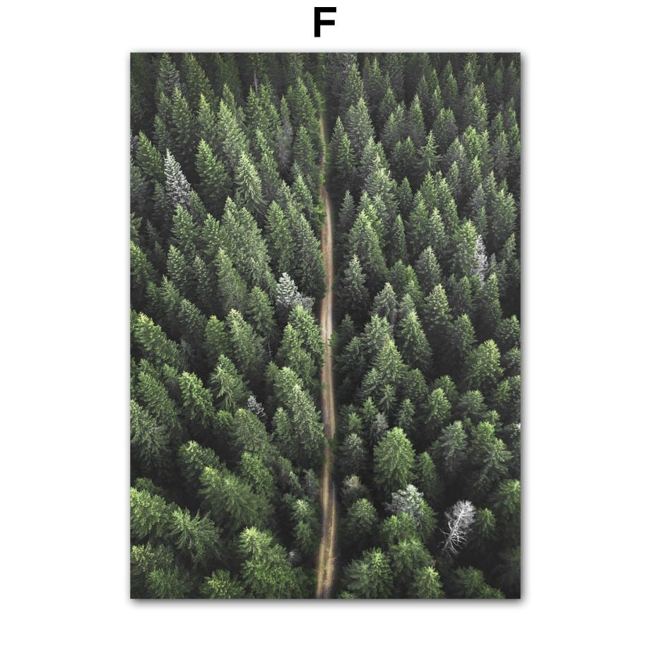 Affiche Jungle Forêt Illustrée Ambiance Tropicale Et Naturelle 9 Affiche Jungle Forêt Illustrée Ambiance Tropicale Et Naturelle