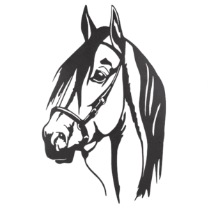 Horse.png