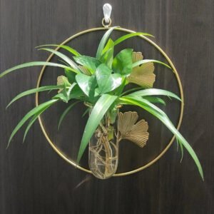 Vases Muraux Tropicaux Élégants Pour Décor Jungle Et Plantes 8 Vases Muraux Tropicaux Élégants Pour Décor Jungle Et Plantes
