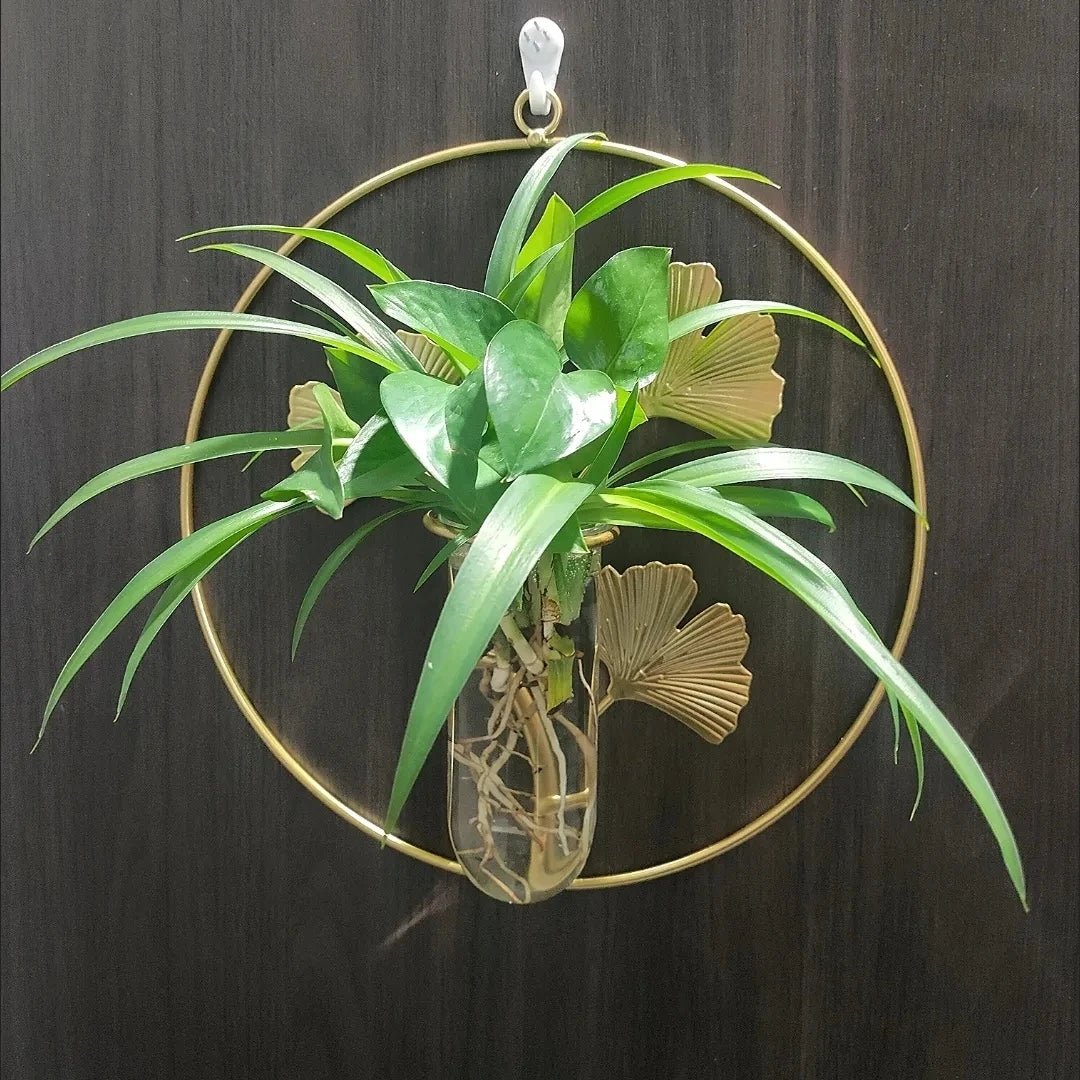 Vases Muraux Tropicaux Élégants Pour Décor Jungle Et Plantes 2 Vases Muraux Tropicaux Élégants Pour Décor Jungle Et Plantes