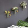 Vases Muraux Tropicaux Élégants Pour Décor Jungle Et Plantes 10 Vases Muraux Tropicaux Élégants Pour Décor Jungle Et Plantes
